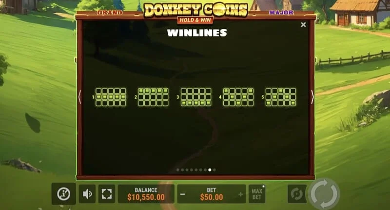 Donkey Coins Hold & Win - stor vinst i specialläge